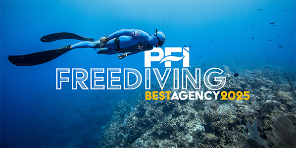 Best Agency - PFI English