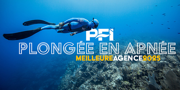 Best Agency - PFI French