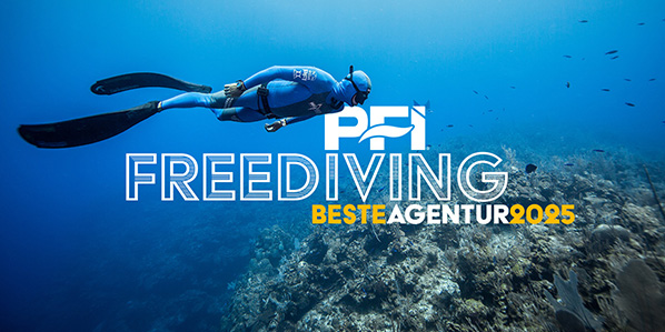 Best Agency - PFI German