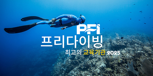 Best Agency - PFI Korean