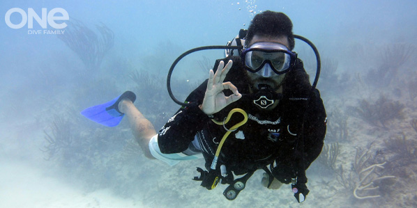 CDIT_ProNews_598x299