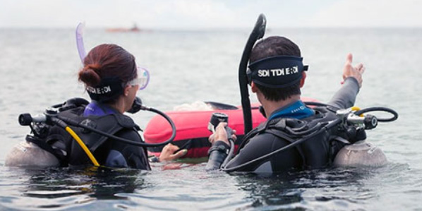 Crossover_ProNews_598x299