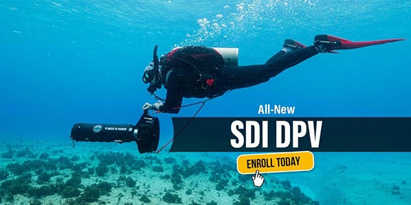 DPV English ProNews 598x299