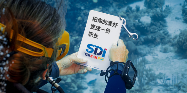 Going Pro - ProNews Assets Simp Chinese