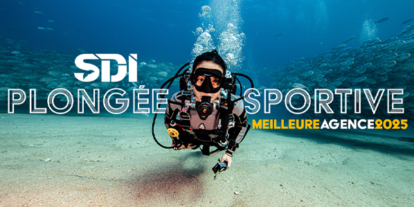 SDI Sport Diving French 42726