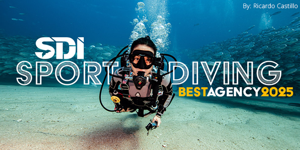 One Dive Family Tops Again