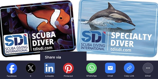 SM Media Sharing